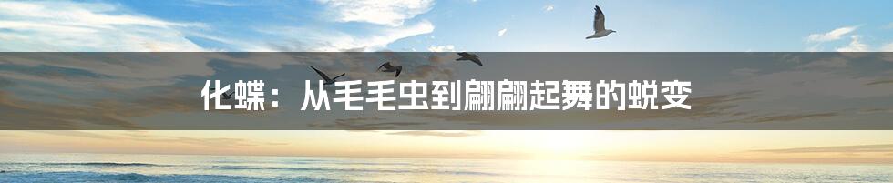 化蝶:从毛毛虫到翩翩起舞的蜕变