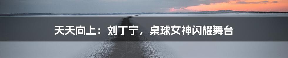 天天向上:刘丁宁,桌球女神闪耀舞台