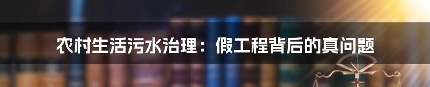 农村生活污水治理:假工程背后的真问题