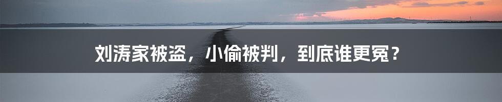 刘涛家被盗,小偷被判,到底谁更冤?