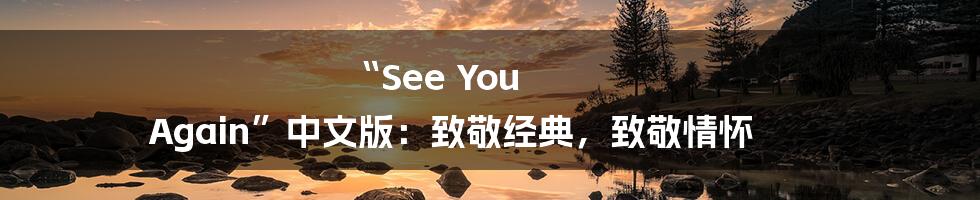 “See You Again”中文版:致敬经典,致敬情怀