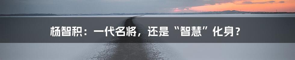 杨智积：一代名将，还是“智慧”化身？