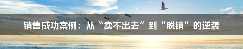 销售成功案例:从“卖不出去”到“脱销”的逆袭