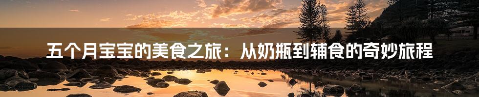五个月宝宝的美食之旅:从奶瓶到辅食的奇妙旅程