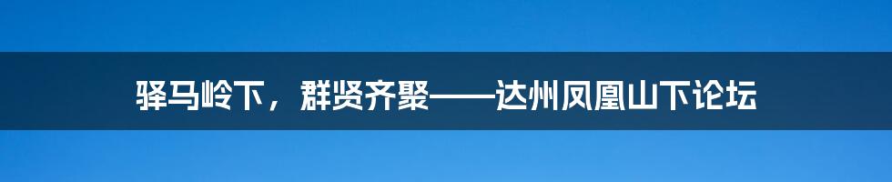 驿马岭下,群贤齐聚——达州凤凰山下论坛