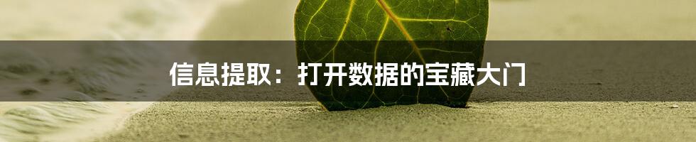信息提取:打开数据的宝藏大门