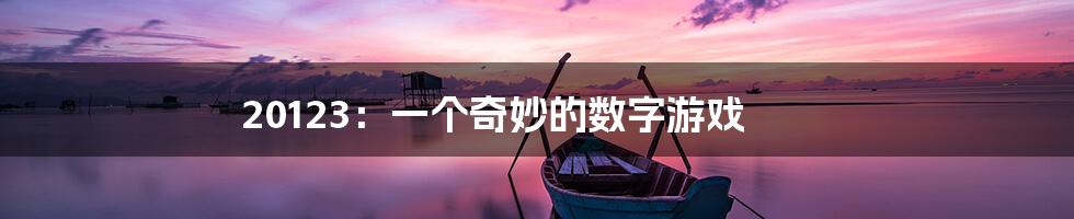 20123:一个奇妙的数字游戏