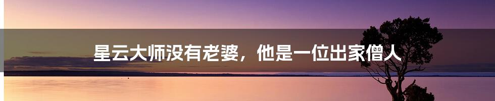 星云大师没有老婆,他是一位出家僧人