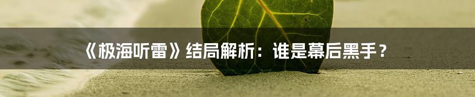 《极海听雷》结局解析:谁是幕后黑手?