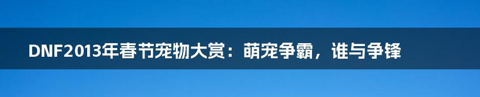 DNF2013年春节宠物大赏:萌宠争霸,谁与争锋