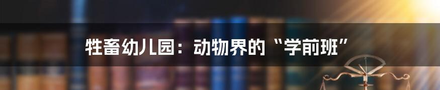 牲畜幼儿园：动物界的“学前班”
