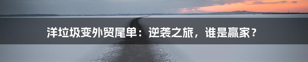 洋垃圾变外贸尾单：逆袭之旅，谁是赢家？