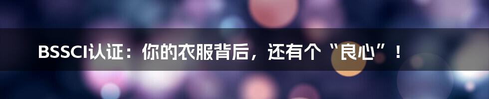 BSSCI认证：你的衣服背后，还有个“良心”！