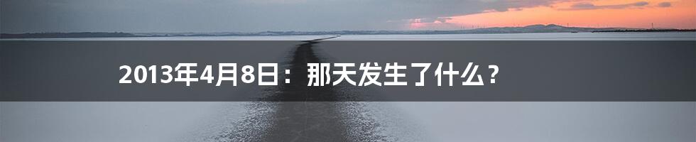 2013年4月8日:那天发生了什么?