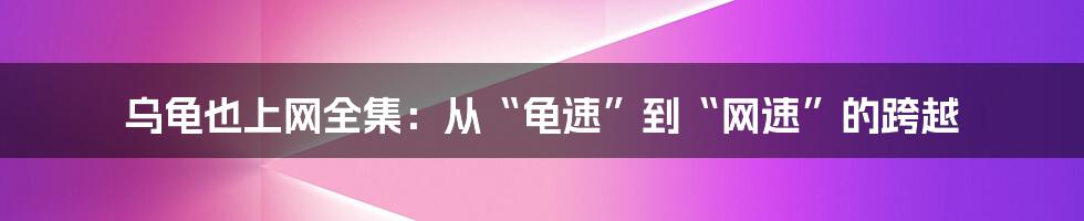 乌龟也上网全集:从“龟速”到“网速”的跨越
