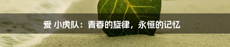 爱 小虎队:青春的旋律,永恒的记忆