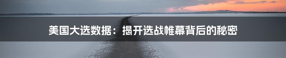美国大选数据:揭开选战帷幕背后的秘密