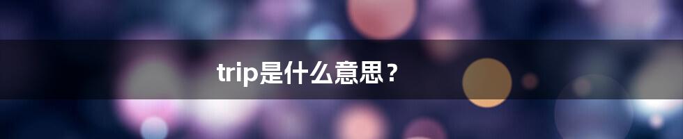 trip是什么意思？