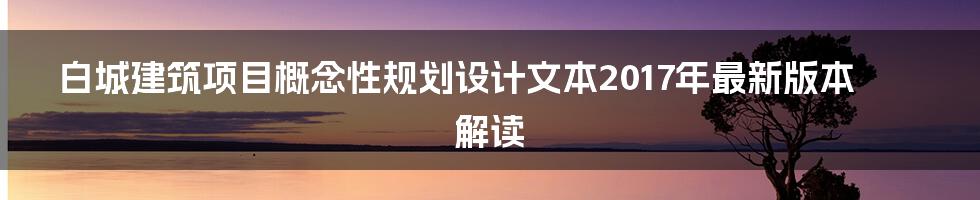 白城建筑项目概念性规划设计文本2017年最新版本解读