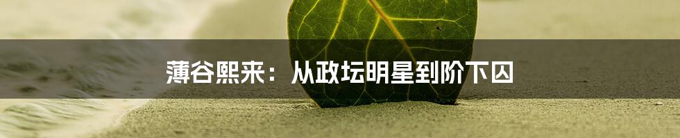 薄谷熙来:从政坛明星到阶下囚