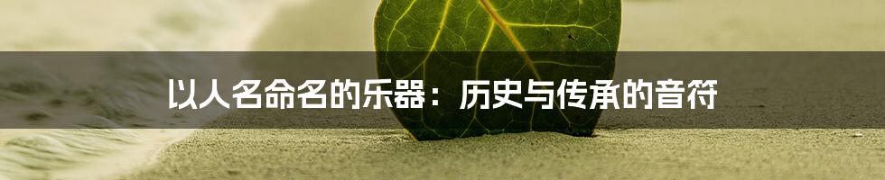 以人名命名的乐器:历史与传承的音符