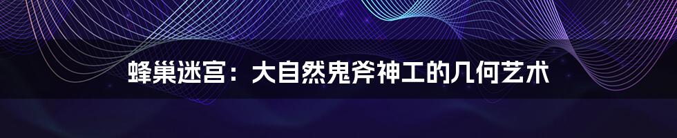 蜂巢迷宫：大自然鬼斧神工的几何艺术