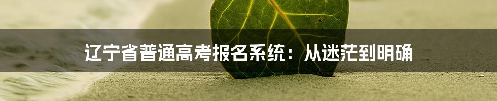 辽宁省普通高考报名系统:从迷茫到明确