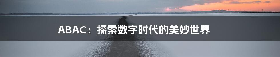 ABAC:探索数字时代的美妙世界