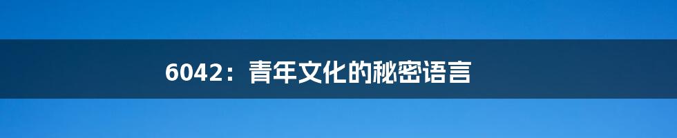 6042:青年文化的秘密语言