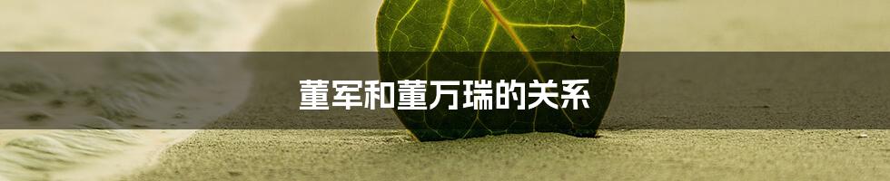 董军和董万瑞的关系