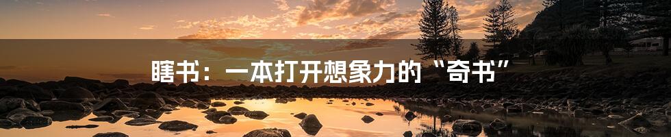 瞎书:一本打开想象力的“奇书”