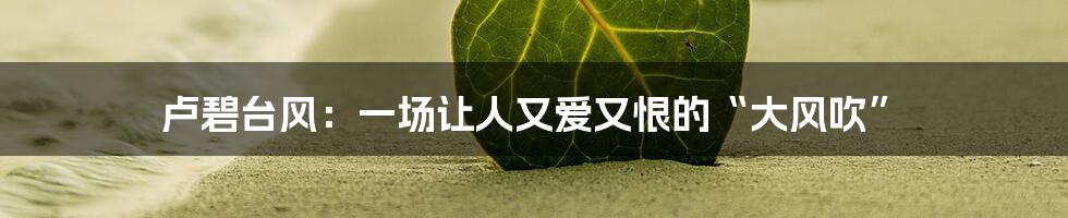 卢碧台风:一场让人又爱又恨的“大风吹”