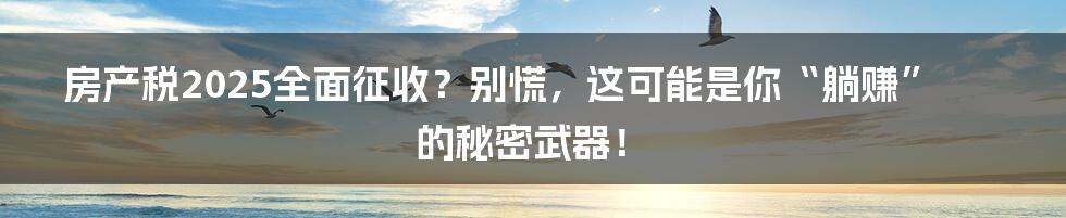 房产税2025全面征收？别慌，这可能是你“躺赚”的秘密武器！