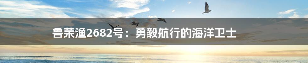鲁荣渔2682号:勇毅航行的海洋卫士