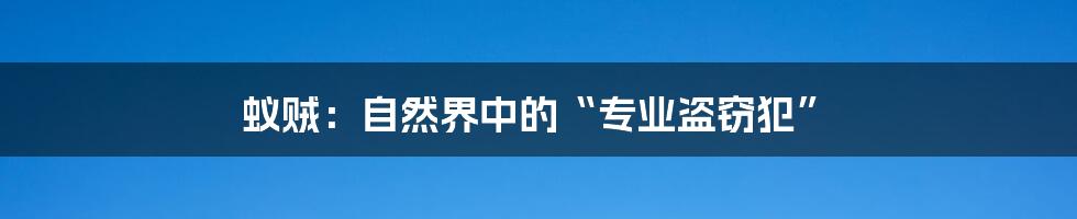蚁贼:自然界中的“专业盗窃犯”