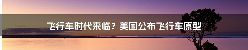 飞行车时代来临?美国公布飞行车原型