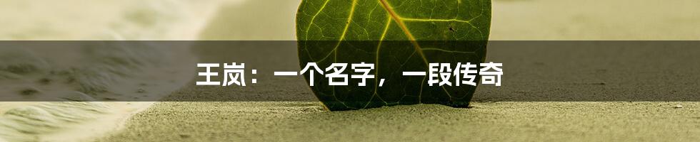 王岚：一个名字，一段传奇