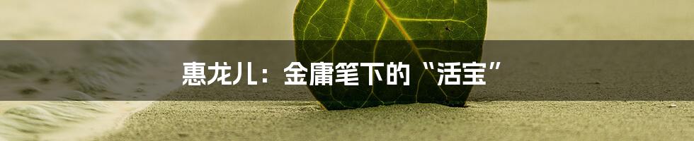 惠龙儿：金庸笔下的“活宝”