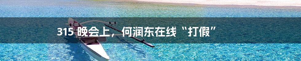 315 晚会上，何润东在线“打假”