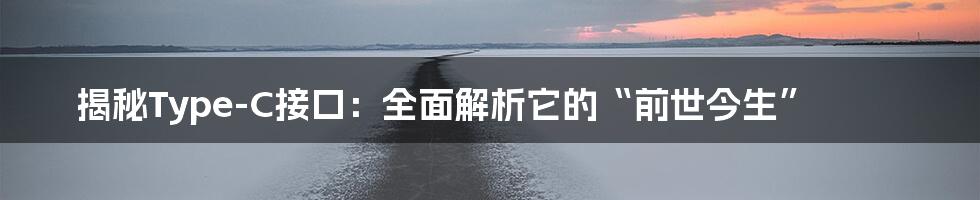 揭秘Type-C接口：全面解析它的“前世今生”