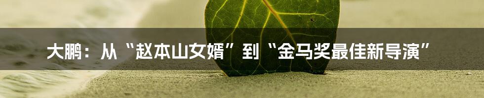 大鹏:从“赵本山女婿”到“金马奖最佳新导演”