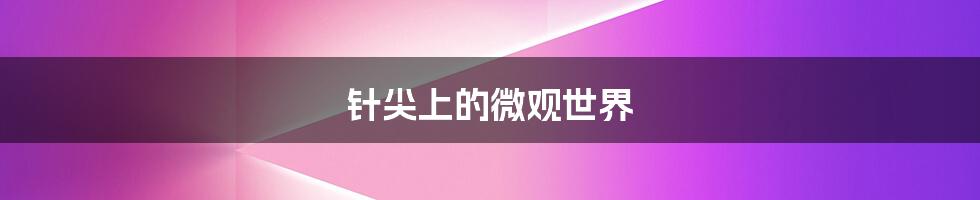 针尖上的微观世界