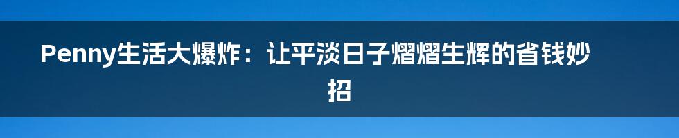 Penny生活大爆炸:让平淡日子熠熠生辉的省钱妙招