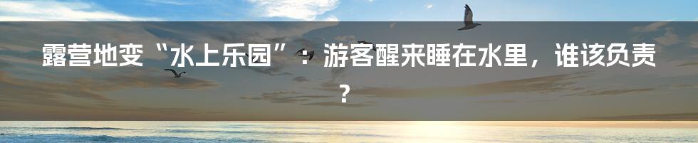 露营地变“水上乐园”:游客醒来睡在水里,谁该负责?