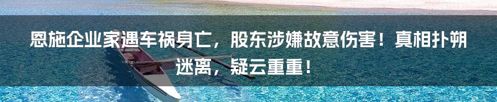 恩施企业家遇车祸身亡,股东涉嫌故意伤害!真相扑朔迷离,疑云重重!