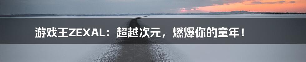 游戏王ZEXAL:超越次元,燃爆你的童年!