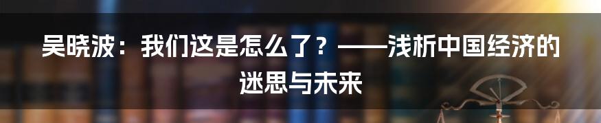 吴晓波：我们这是怎么了？——浅析中国经济的迷思与未来