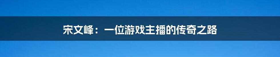 宋文峰:一位游戏主播的传奇之路