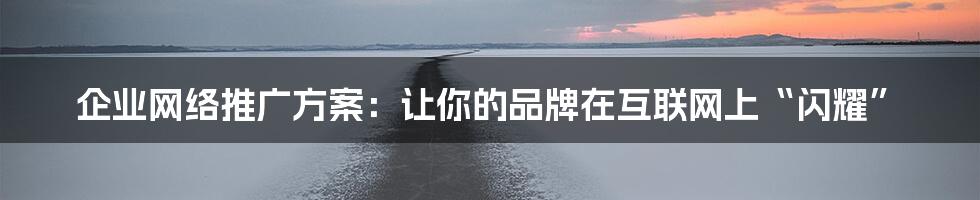 企业网络推广方案：让你的品牌在互联网上“闪耀”