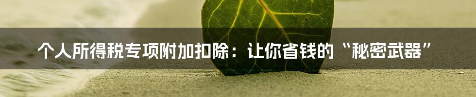 个人所得税专项附加扣除:让你省钱的“秘密武器”